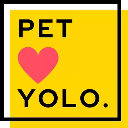 Pet Yolo