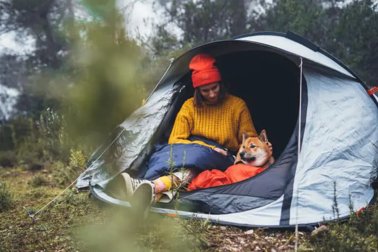 Camping con perros