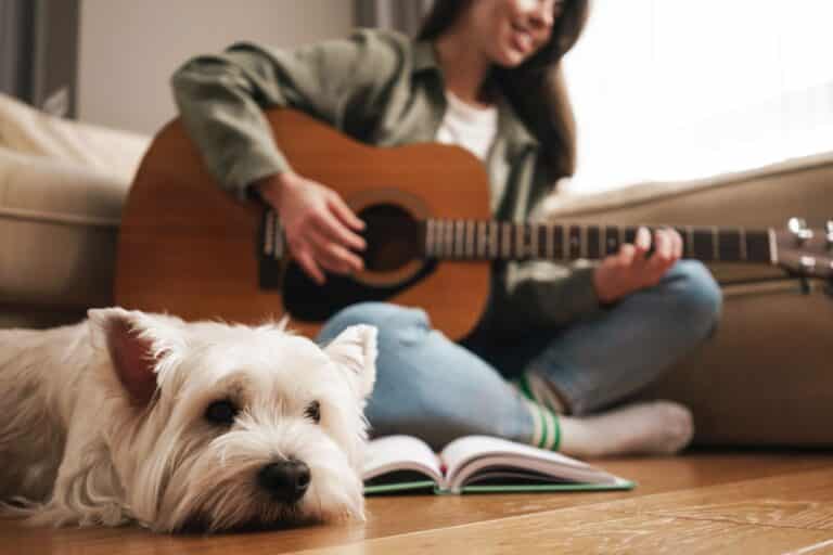 Musica relajante para perros