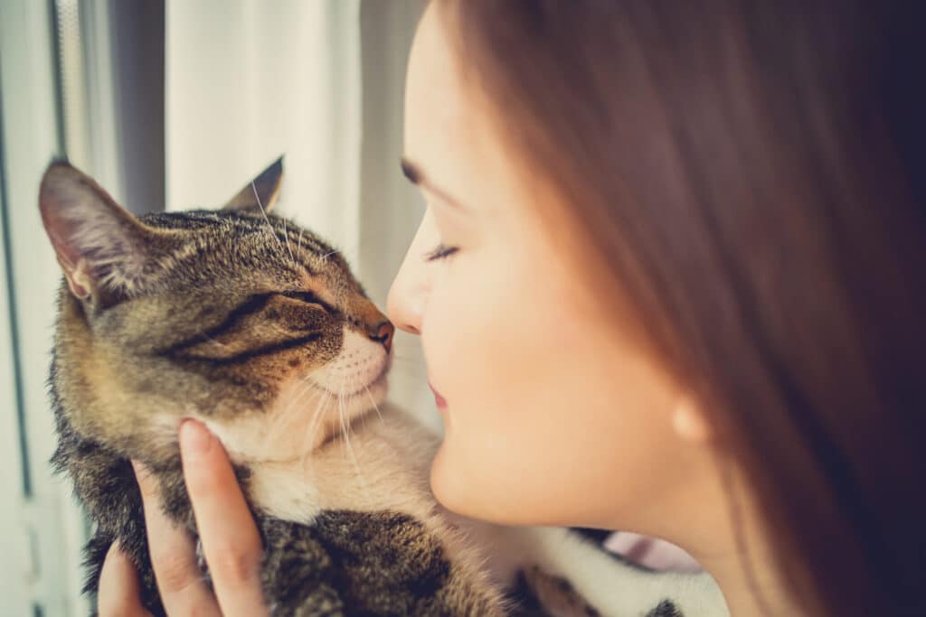 Warum Katzen gut fuer unsere Gesundheit sind 2