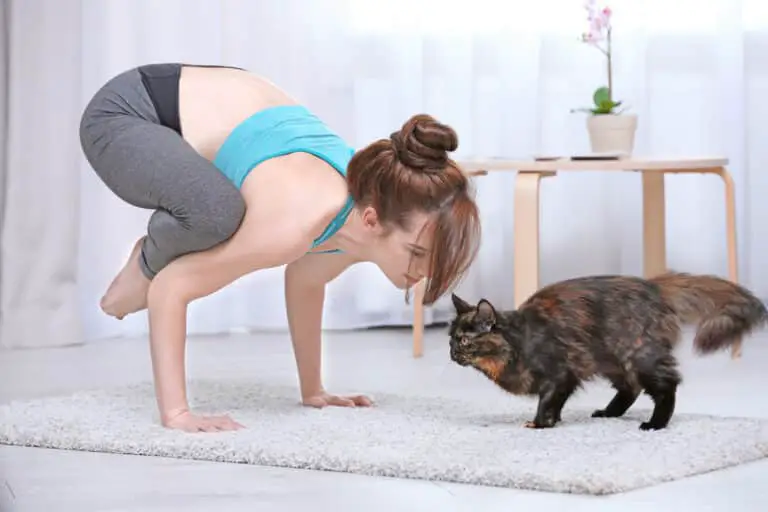 frau macht cat yoga mit katze 768x512 1