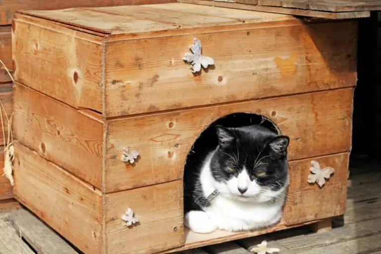 Como hacer una casa para gatos