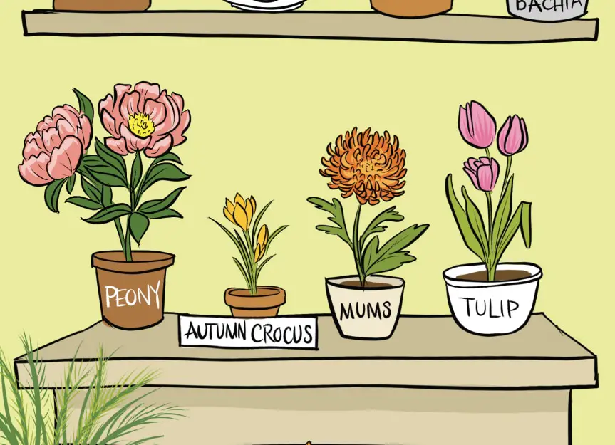Top poisonous plants for pets 0