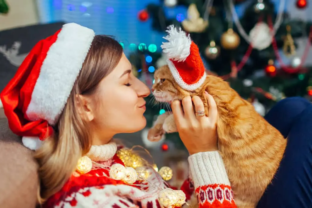 Weihnachtsgeschenke Ideen fuer Katzen