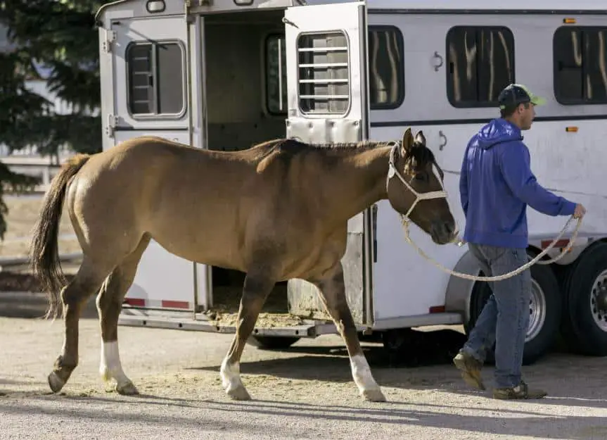 horse.trailer.travel