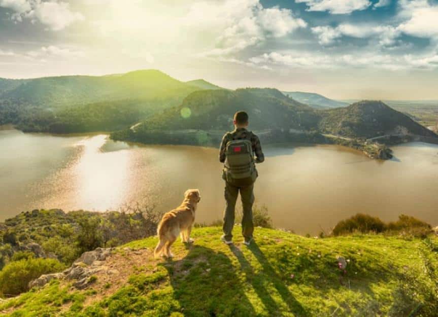 trekking with the dog on mountains picture id940258986
