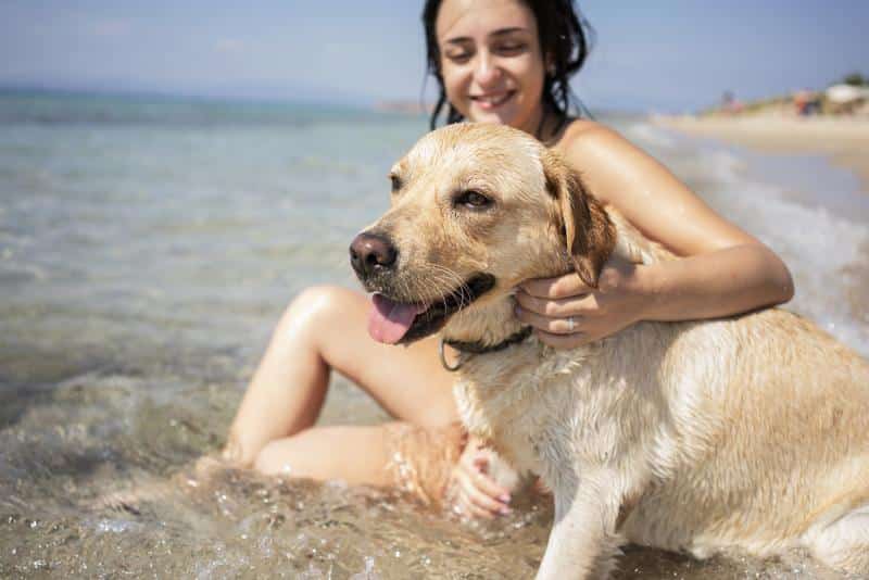 325815 800x534 woman with dog at beach