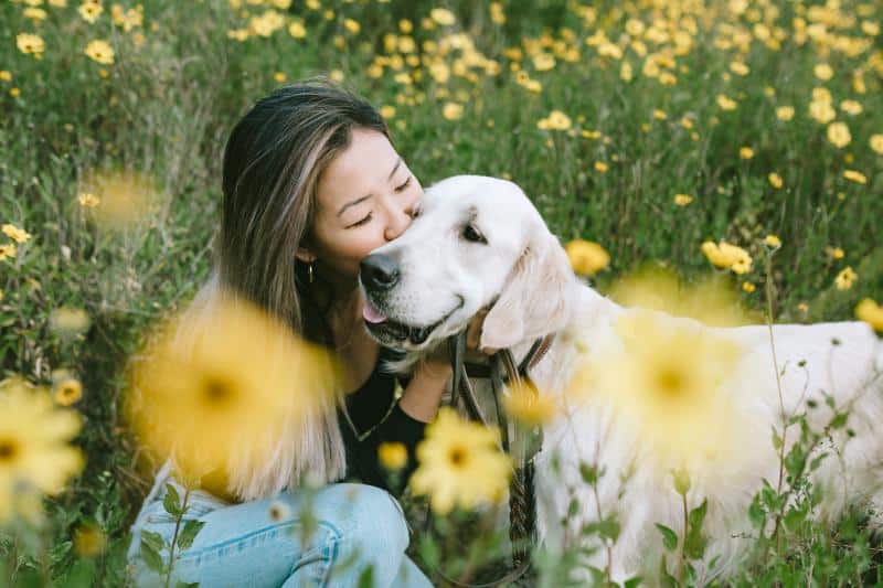 329076 800x533 woman hugs dog in flower field