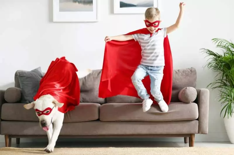 329099 800x533 happy kid and dog in superhero outfits