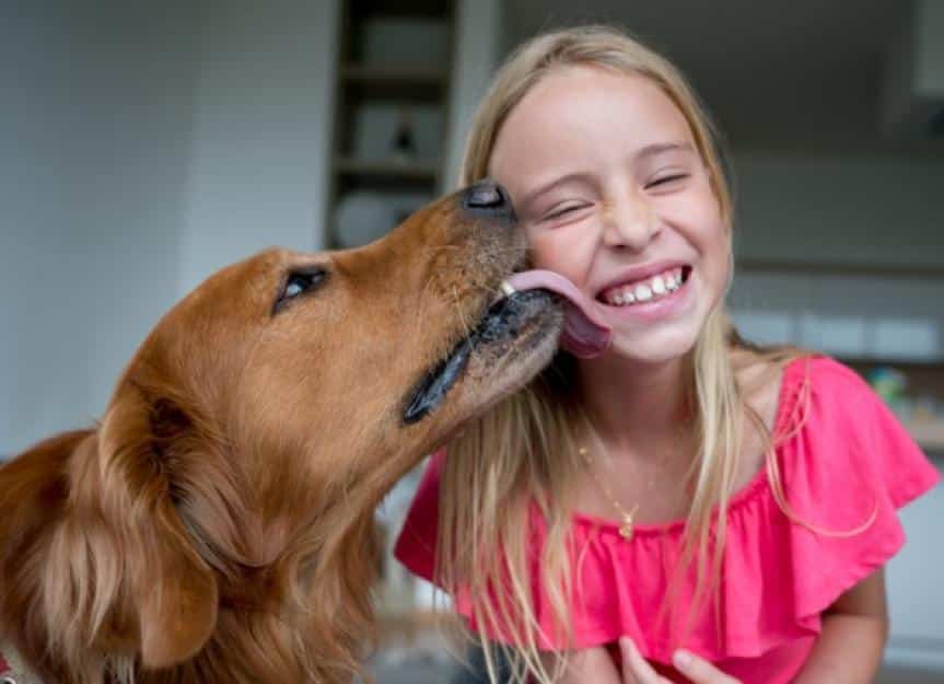 cheerful little girl and her pet licking her cheek looking very happy picture id931297400.andresr