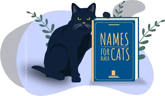 Names for Black Cats