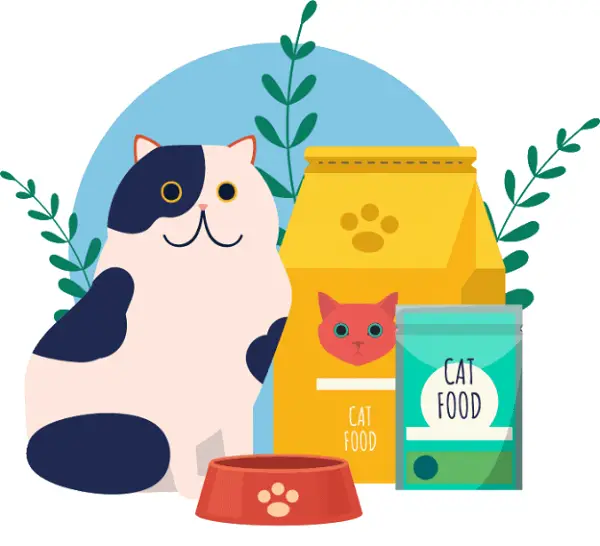 Complete Guide To Feline Nutrition