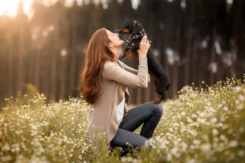 340748 800x533 woman with dog 1130681985