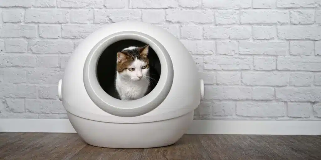 Automatic Litter Box compressed