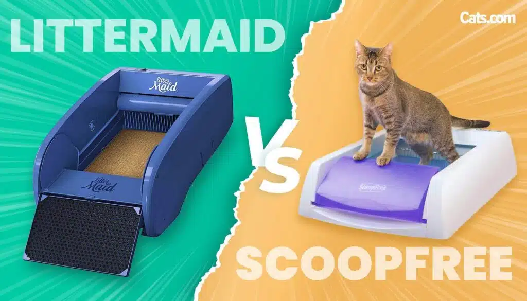 LitterMaid vs Scoopfree