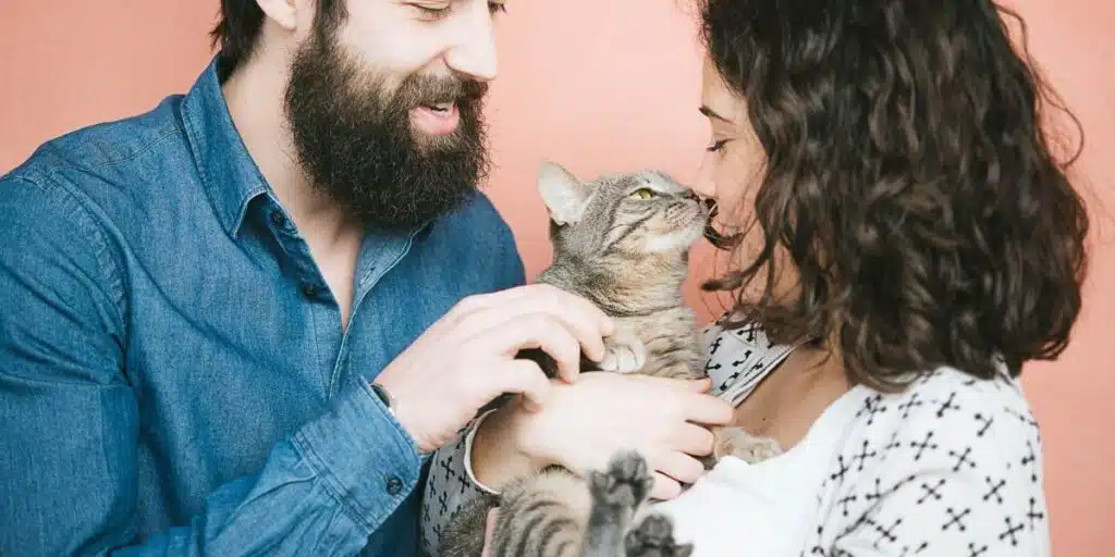 cat and couple compressed 1