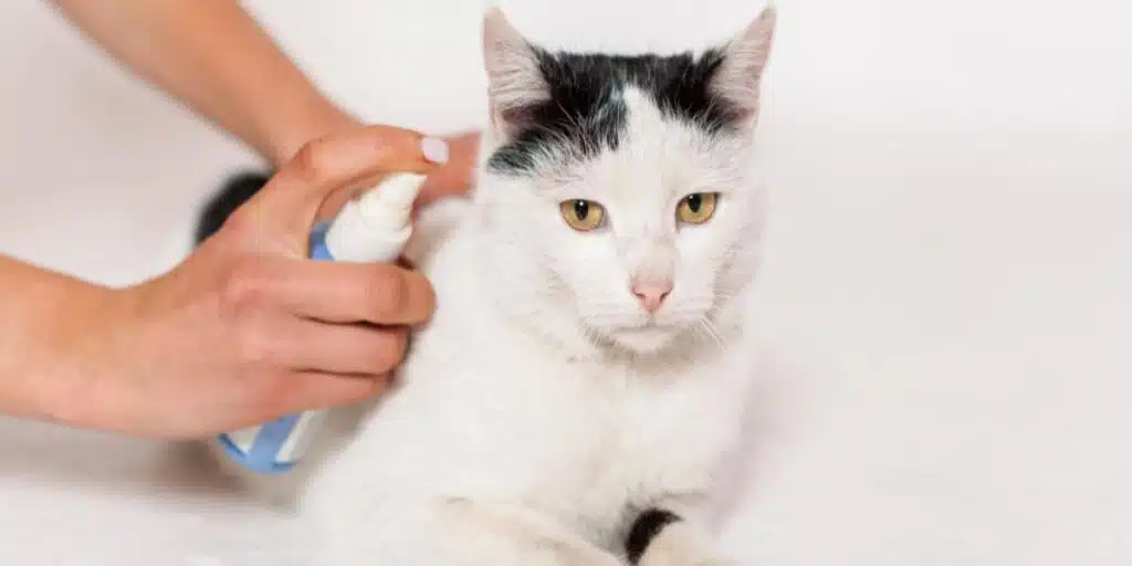 spray for cats compressed