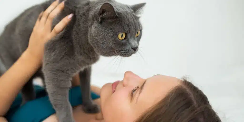 woman looking at British shorthair cat compressed