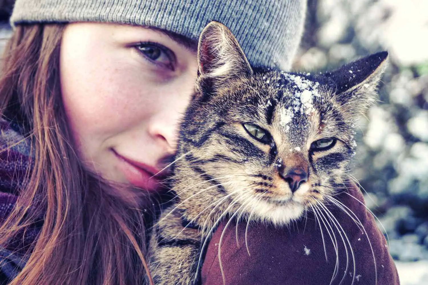 Frau mit Wintermütze hält eine Katze mit Schnee auf dem Kopf