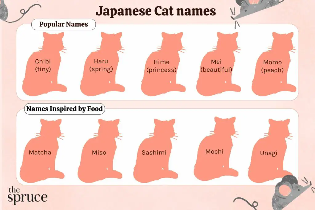 Japanese cat names 5070913 0c83f3b58a004f9bafce8405ec442bca