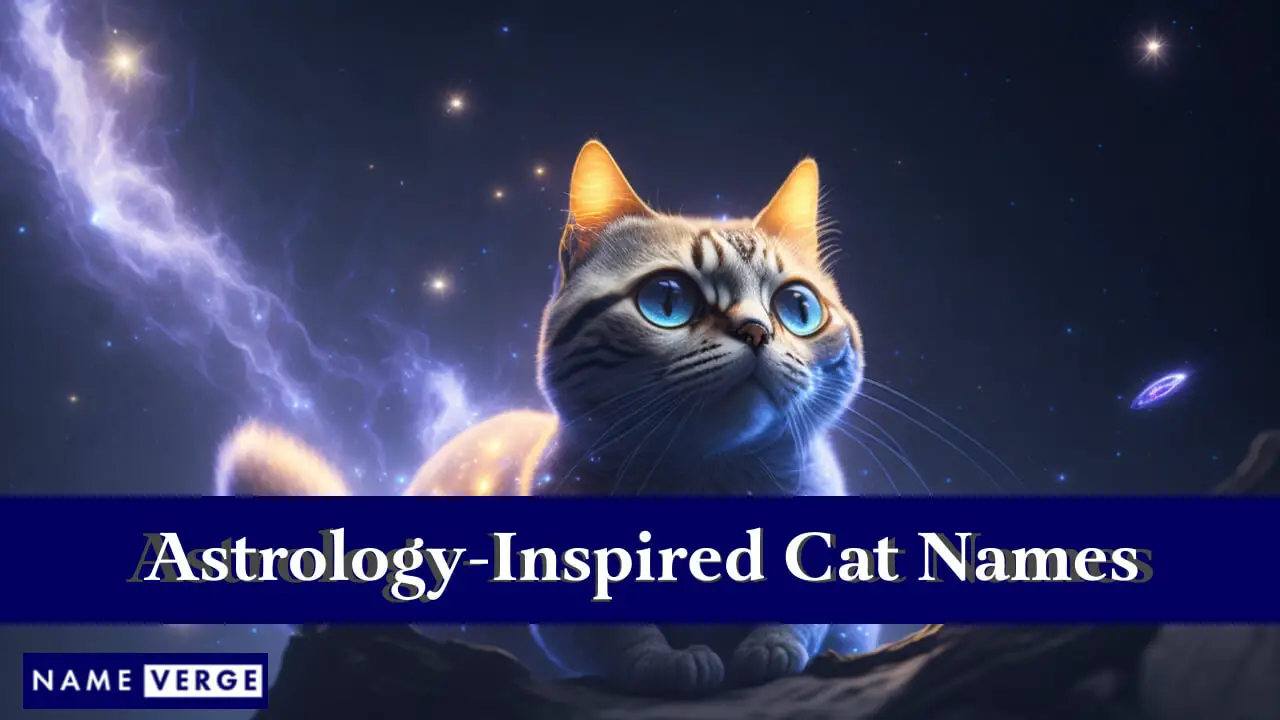 Von der Astrologie inspirierte Katzennamen