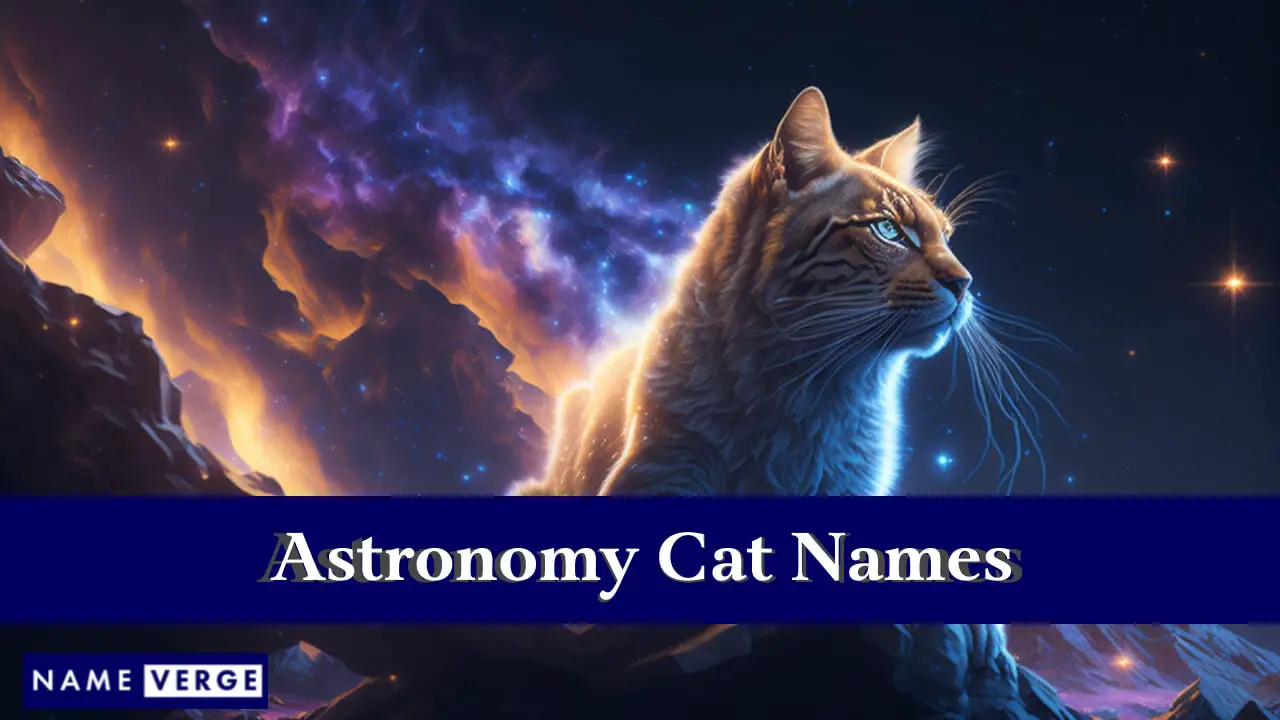 Astronomische Katzennamen