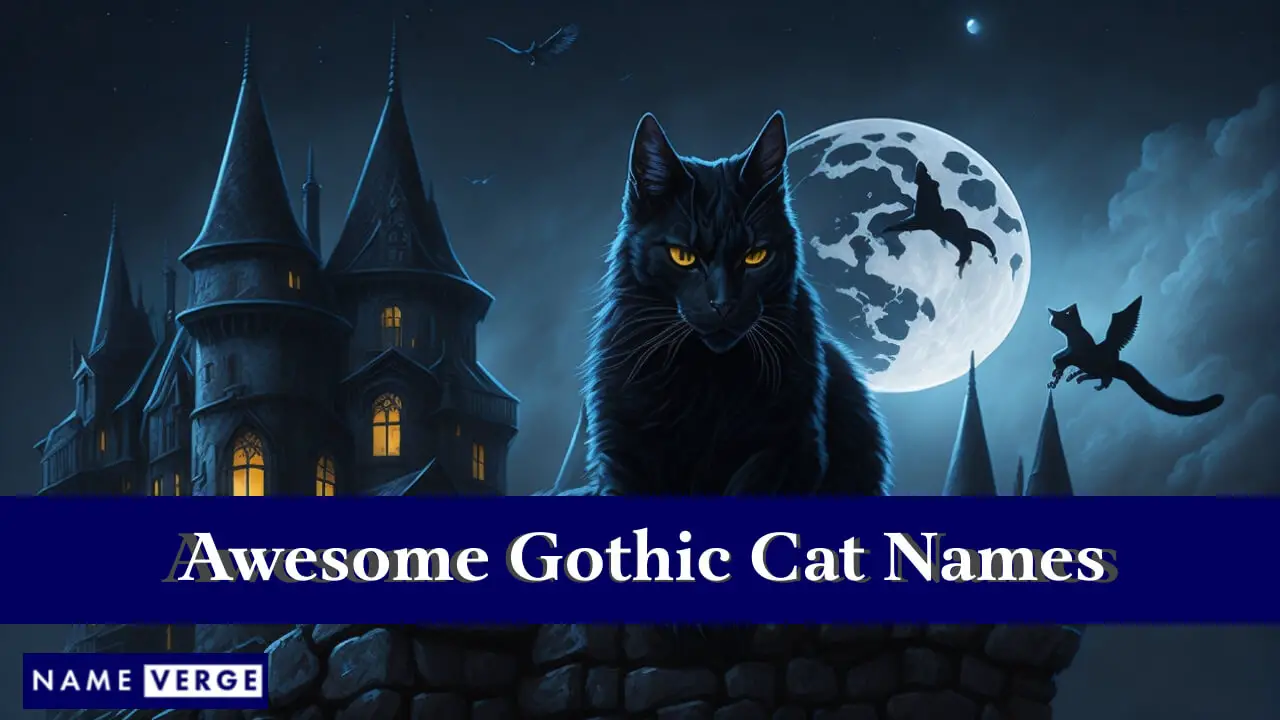 Tolle gotische Katzennamen