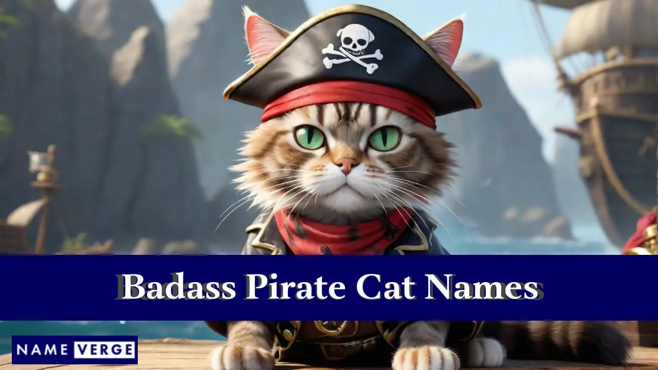 Badass Piraten-Katzennamen