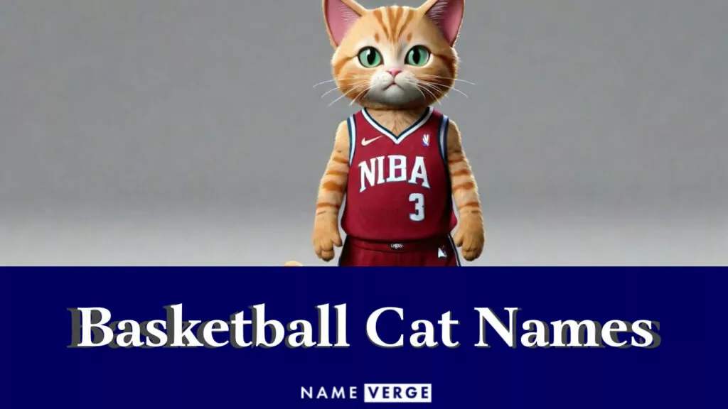 basketball cat names