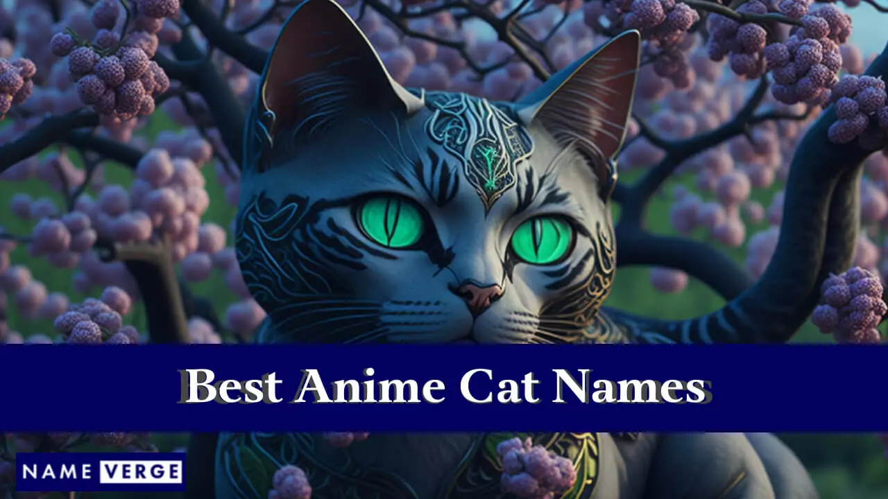Beste Anime-Katzennamen