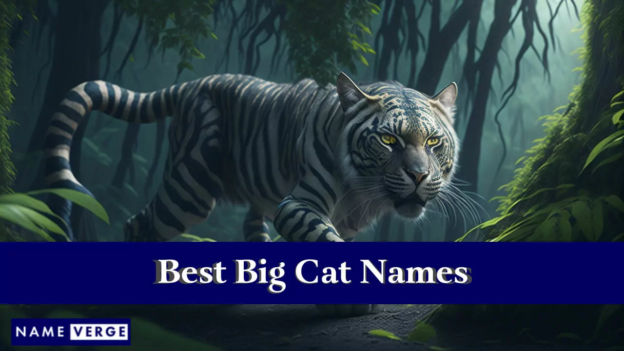Die besten Großkatzennamen