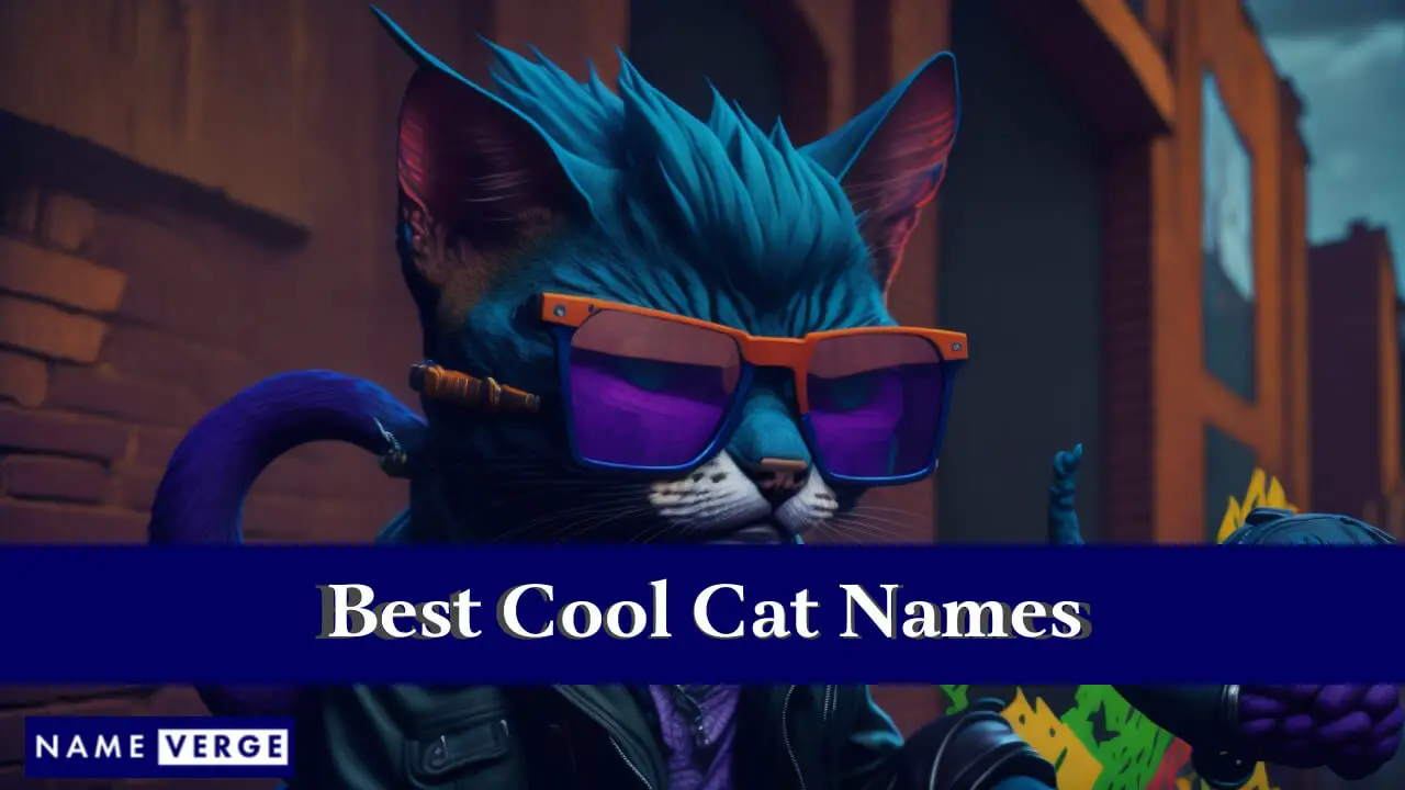 Die besten coolen Katzennamen