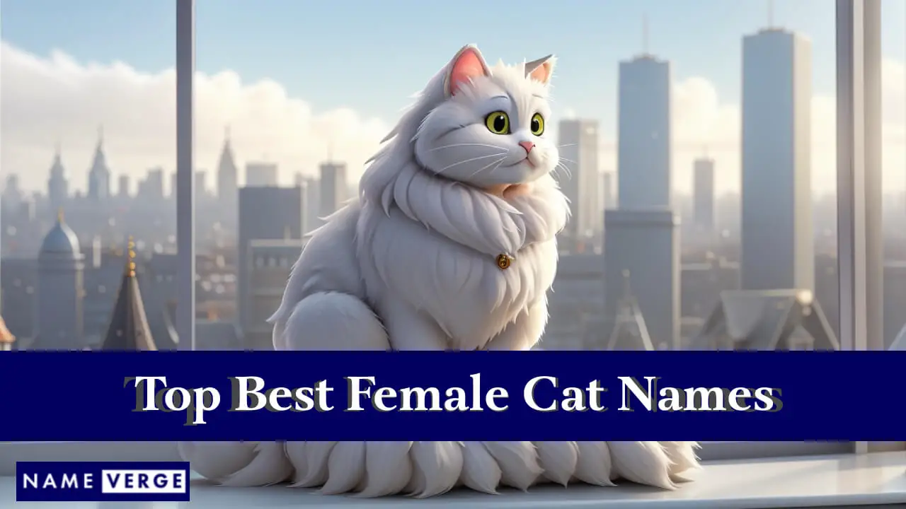 Die besten weiblichen Katzennamen