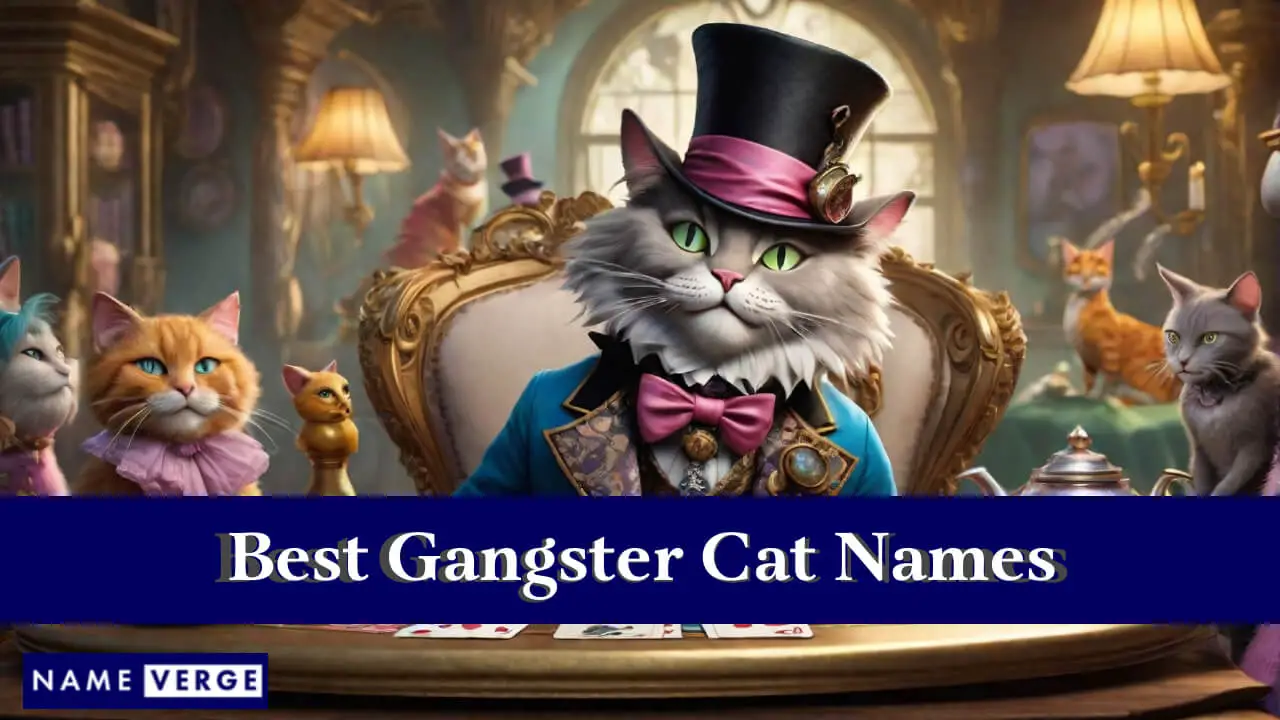 Die besten Namen für Gangsterkatzen