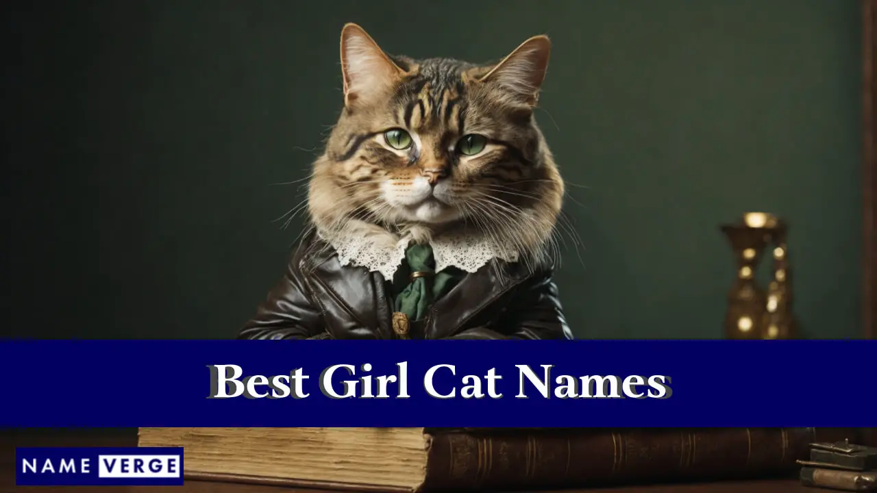 Die besten Katzennamen für Mädchen