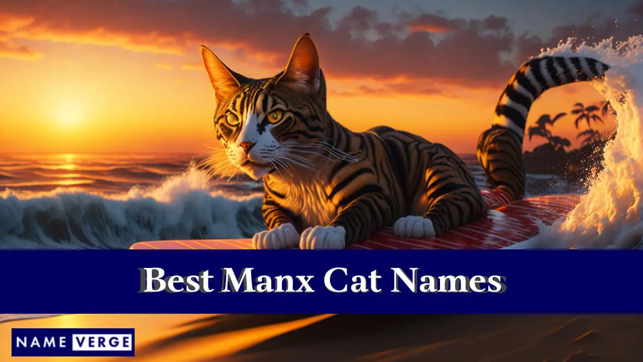 Die besten Manx-Katzennamen