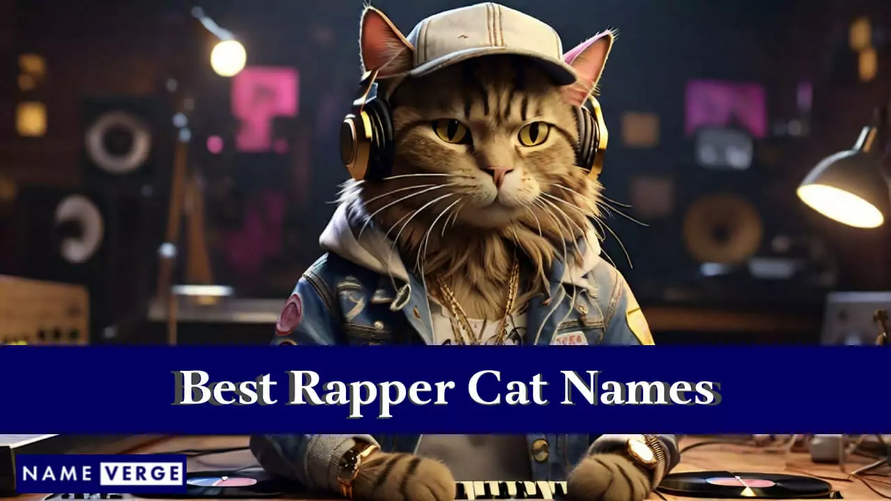 Beste Rapper-Katzennamen