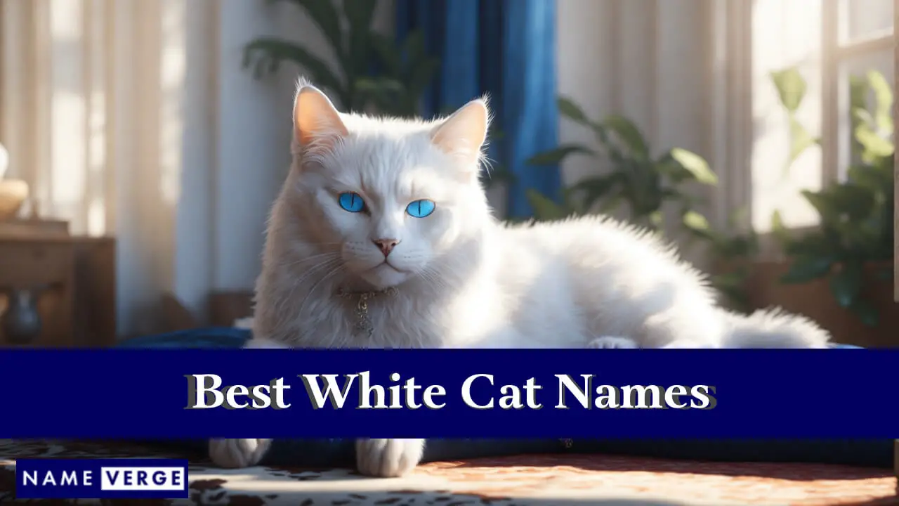 Die besten Namen für weiße Katzen