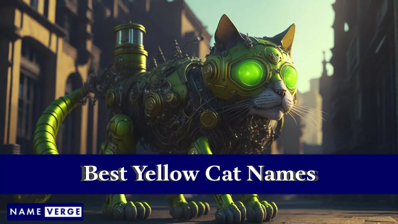 Die besten gelben Katzennamen