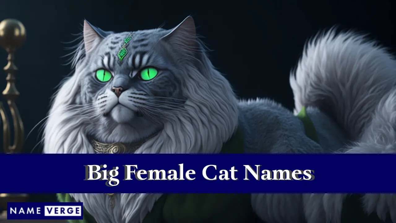 Große weibliche Katzennamen