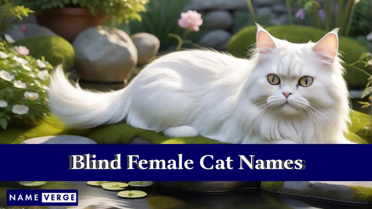 Blinde weibliche Katzennamen