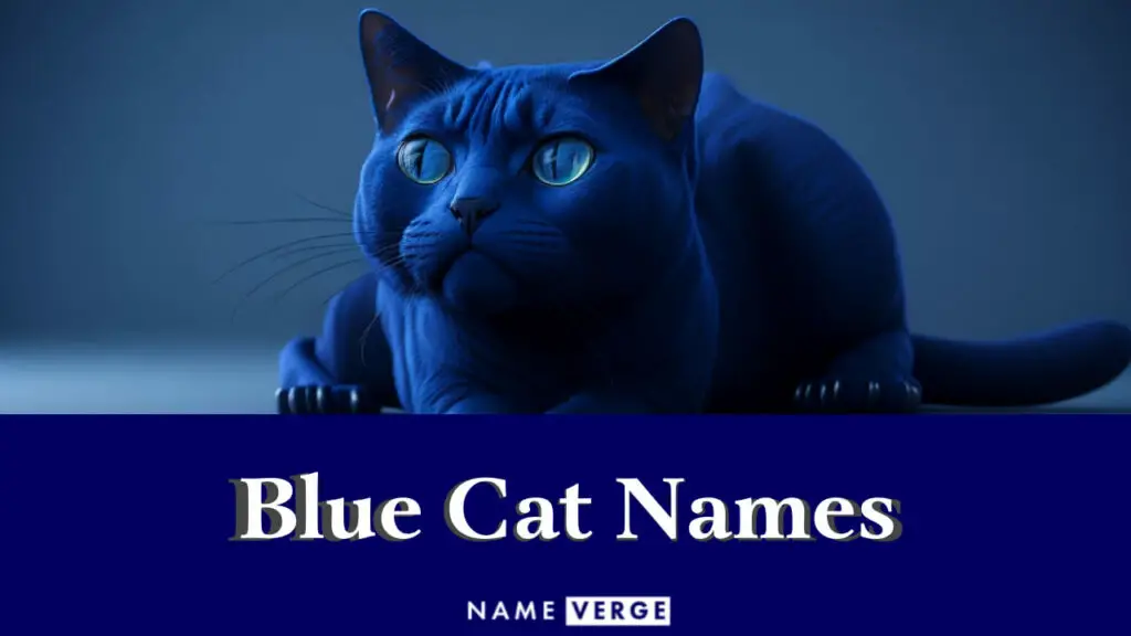 blue cat names