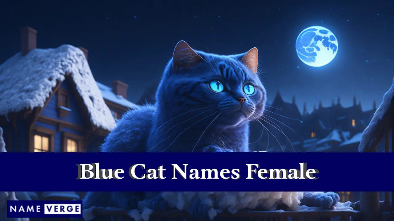 Blaue Katzennamen für Frauen