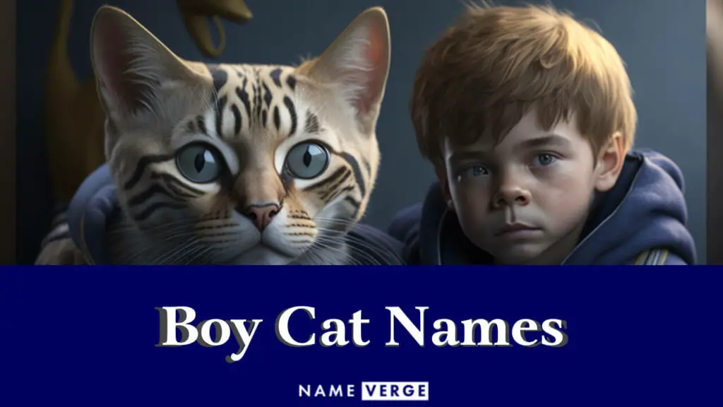 boy cat names
