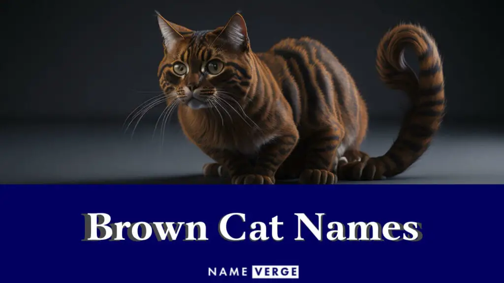 brown cat names