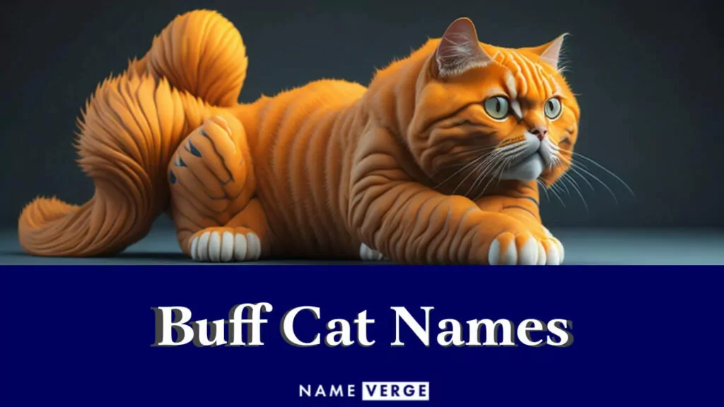 buff cat names