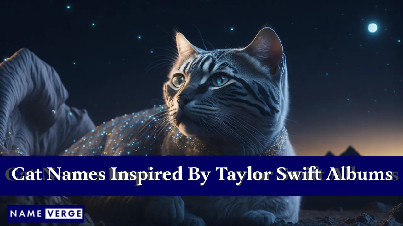 Von Taylor Swift-Alben inspirierte Katzennamen