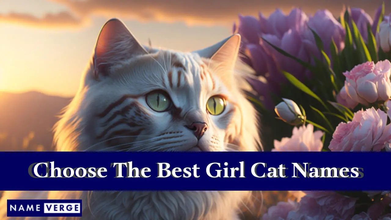 Tipps zur Auswahl der besten Katzennamen für Mädchen