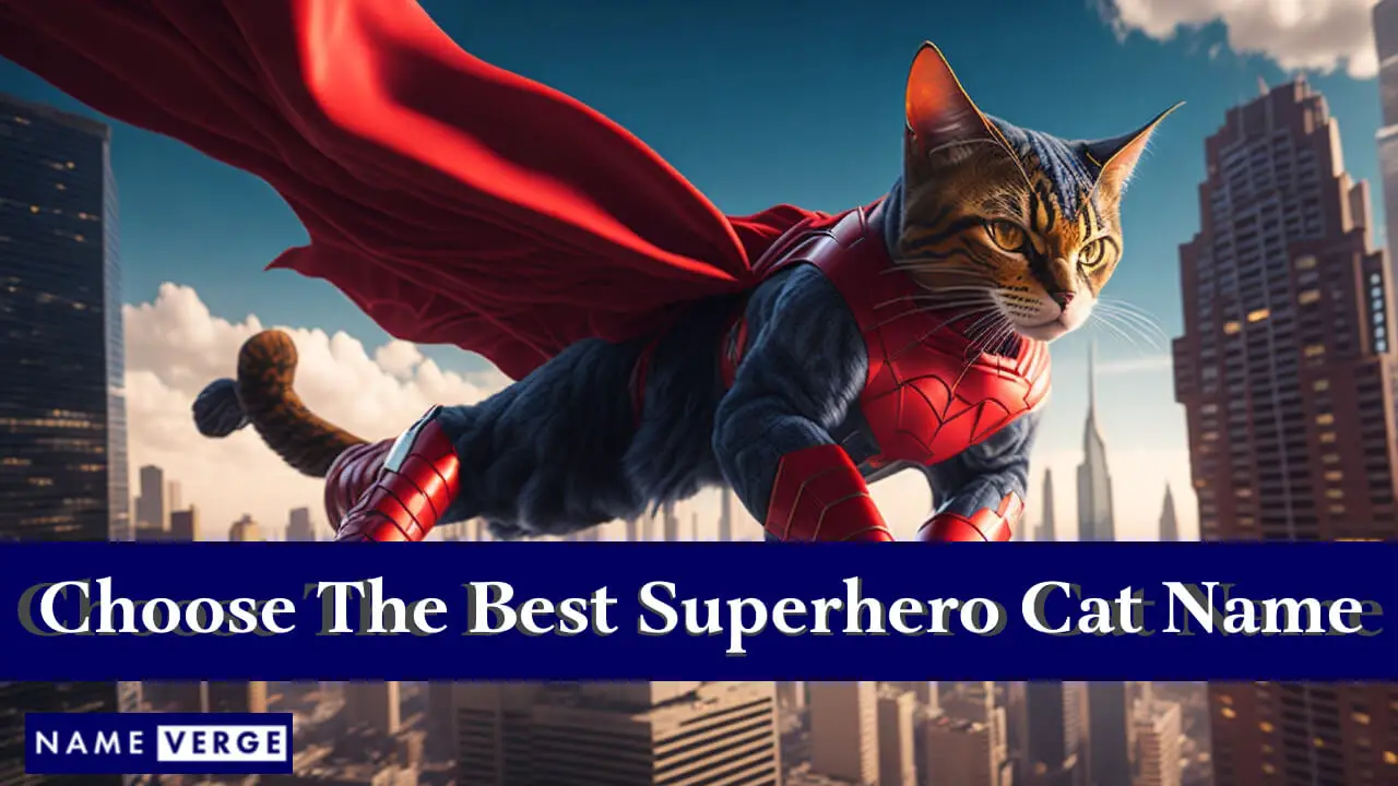 Tipps zur Auswahl des besten Superhelden-Katzennamens