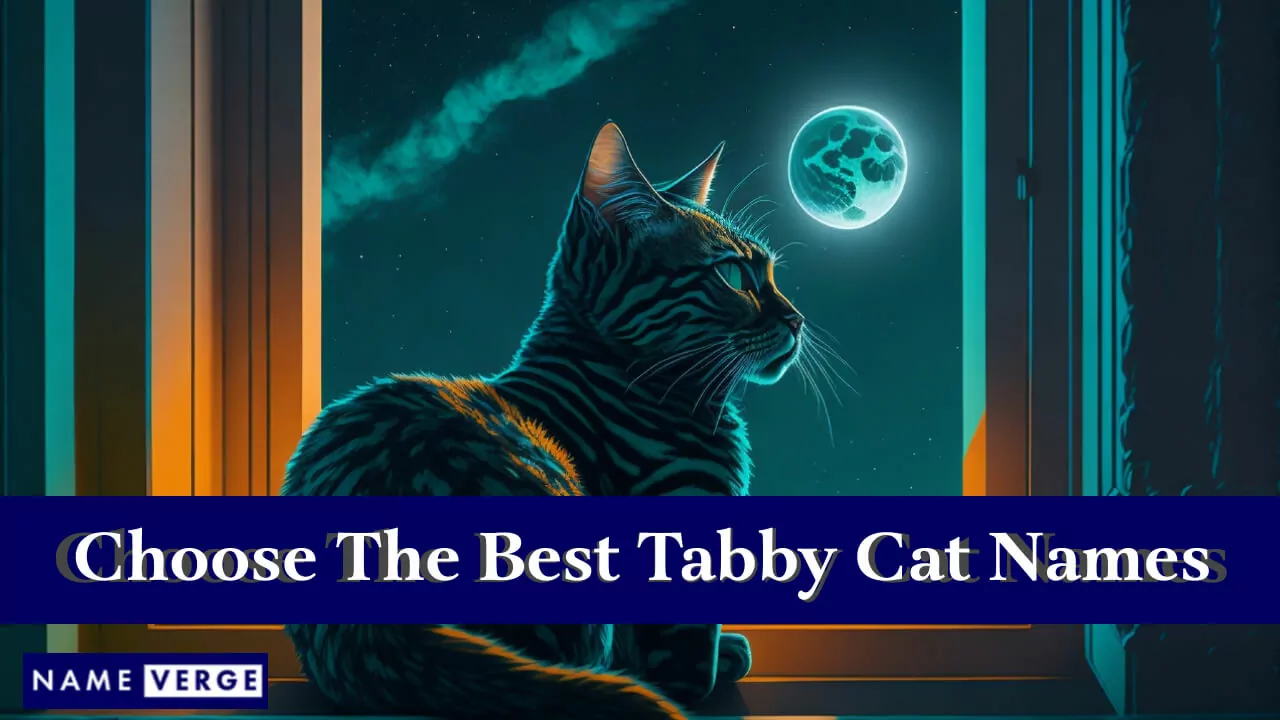 Tipps zur Auswahl des perfekten Namens für eine getigerte Katze
